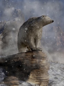 Polar Bear In A Snowstorm Dingy