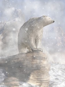 Polar Bear In A Snowstorm Washed Out 